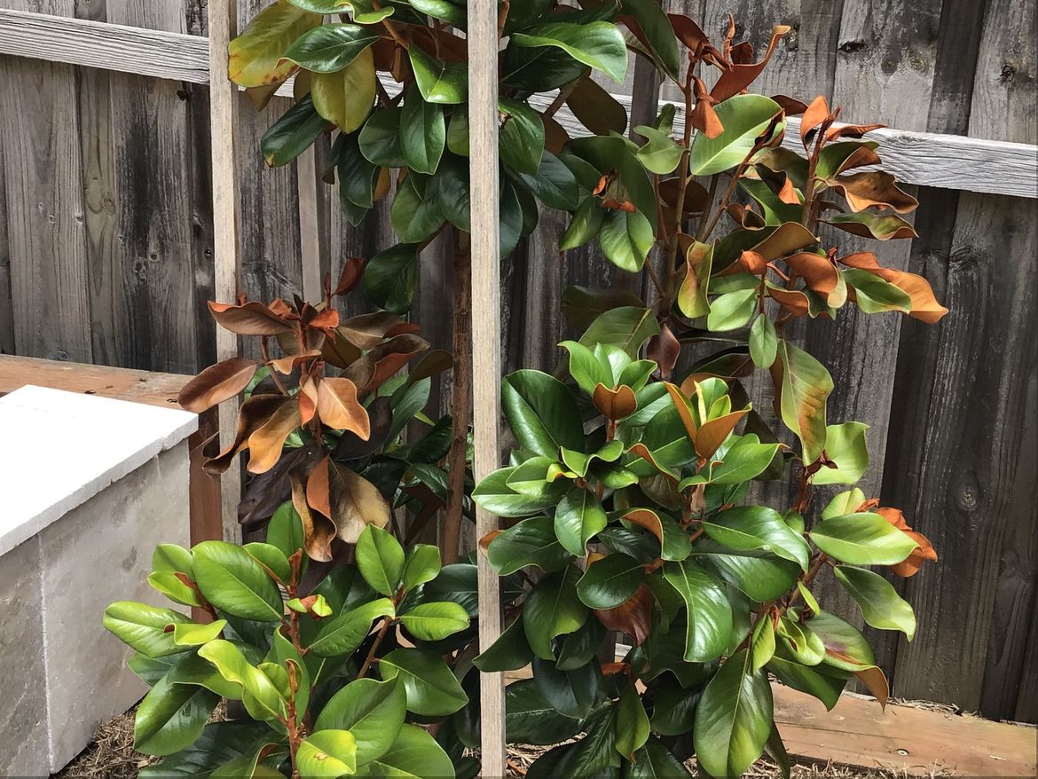 IMG_5117.jpeg IMG_5117.jpeg