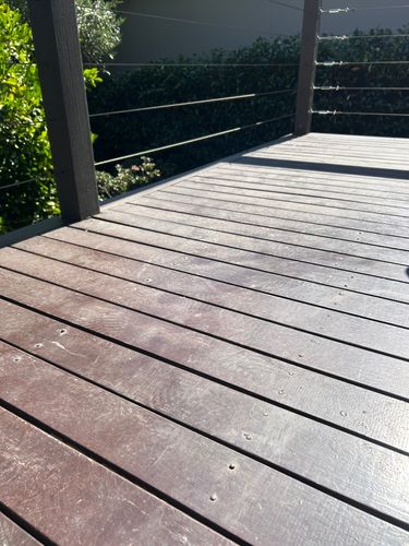 IMG_4245.jpeg IMG_4245.jpeg