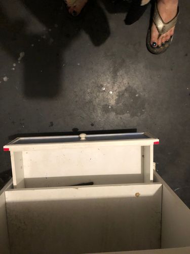 9C80F23F-DA86-4C4A-AF97-A20E4E36D566.jpeg 9C80F23F-DA86-4C4A-AF97-A20E4E36D566.jpeg