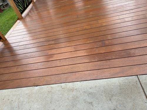 IMG_1150.jpeg IMG_1150.jpeg