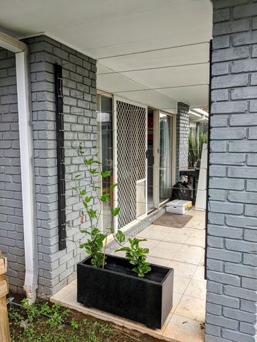 274518373_978361326450887_8075815417213953780_n.jpg 274518373_978361326450887_8075815417213953780_n.jpg