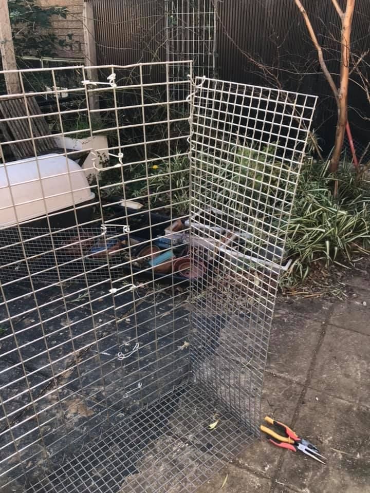 09 07-08-2021.jpg 09 07-08-2021.jpg