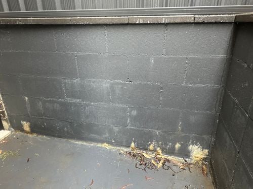 IMG_5310.jpeg IMG_5310.jpeg