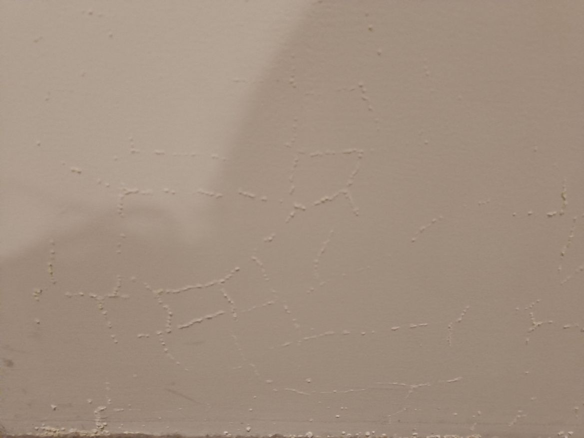 IMG20240722221113.jpg IMG20240722221113.jpg