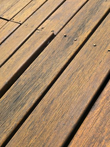 1000005586.jpg 1000005586.jpg