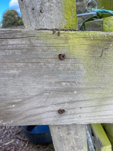 IMG_8584.jpeg IMG_8584.jpeg