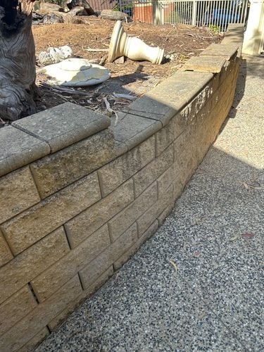 IMG_6573.jpeg IMG_6573.jpeg