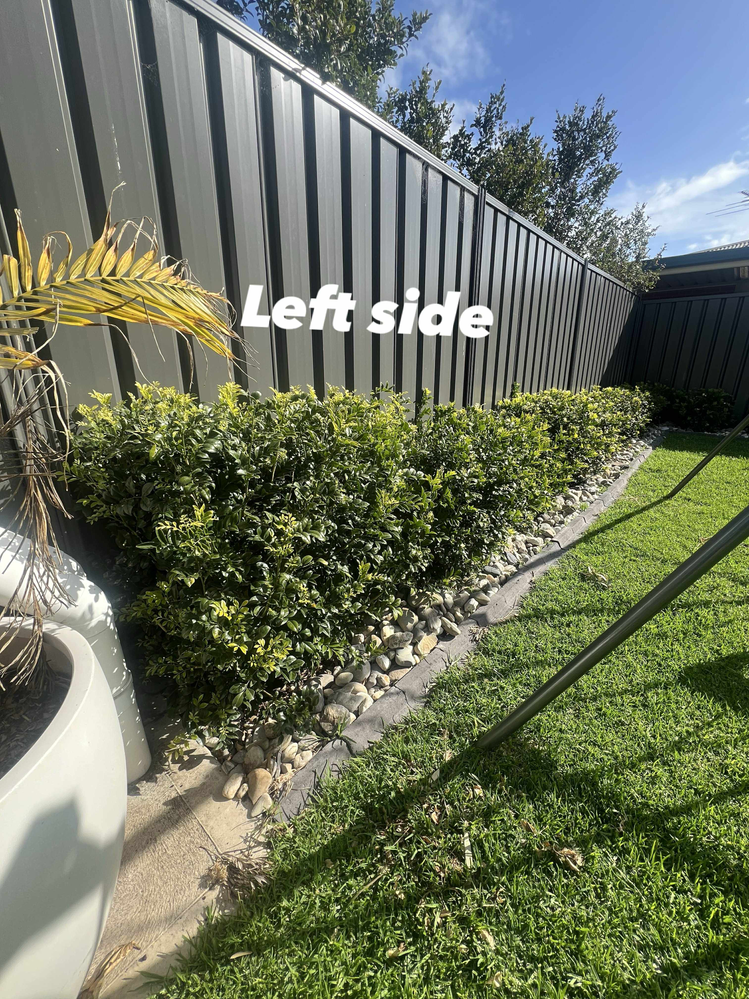 AD4EFC01-7855-4E7F-ADB8-473AB29E95F1.png AD4EFC01-7855-4E7F-ADB8-473AB29E95F1.png