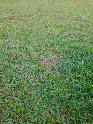 20240827_171912.jpg 20240827_171912.jpg