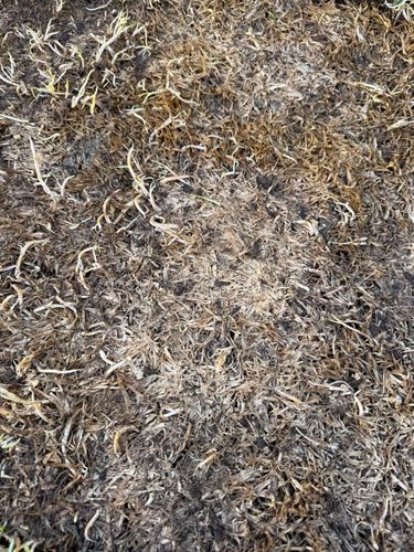 IMG_3166.jpeg IMG_3166.jpeg