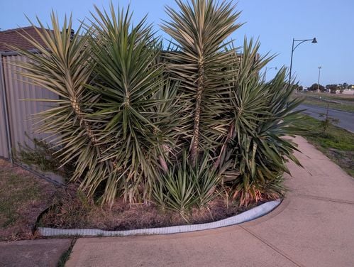 1000025831.jpg 1000025831.jpg