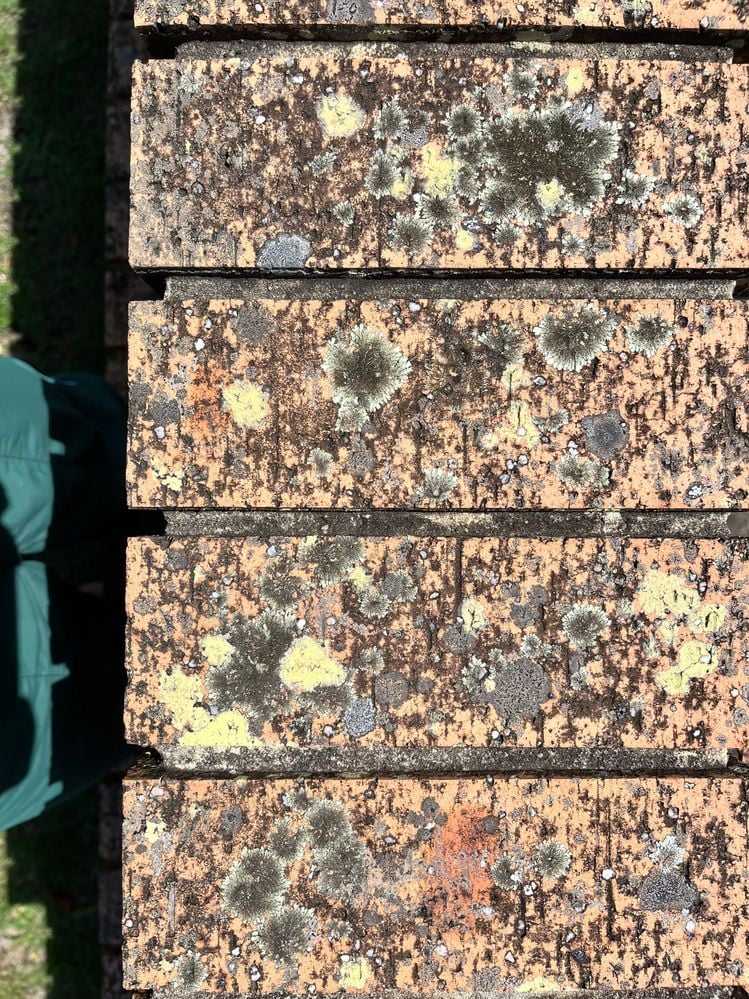 IMG_8381.jpg IMG_8381.jpg