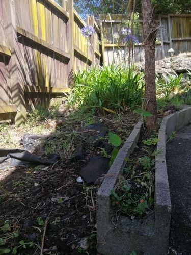 IMG_20191210_102549.jpg IMG_20191210_102549.jpg