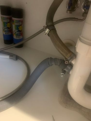 IMG_6905.jpeg IMG_6905.jpeg