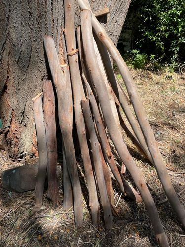 1B229F31-FA4A-47E1-A019-1F8AD1E97B8C.jpeg 1B229F31-FA4A-47E1-A019-1F8AD1E97B8C.jpeg