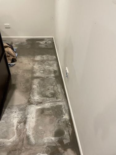 IMG_0731.jpeg IMG_0731.jpeg