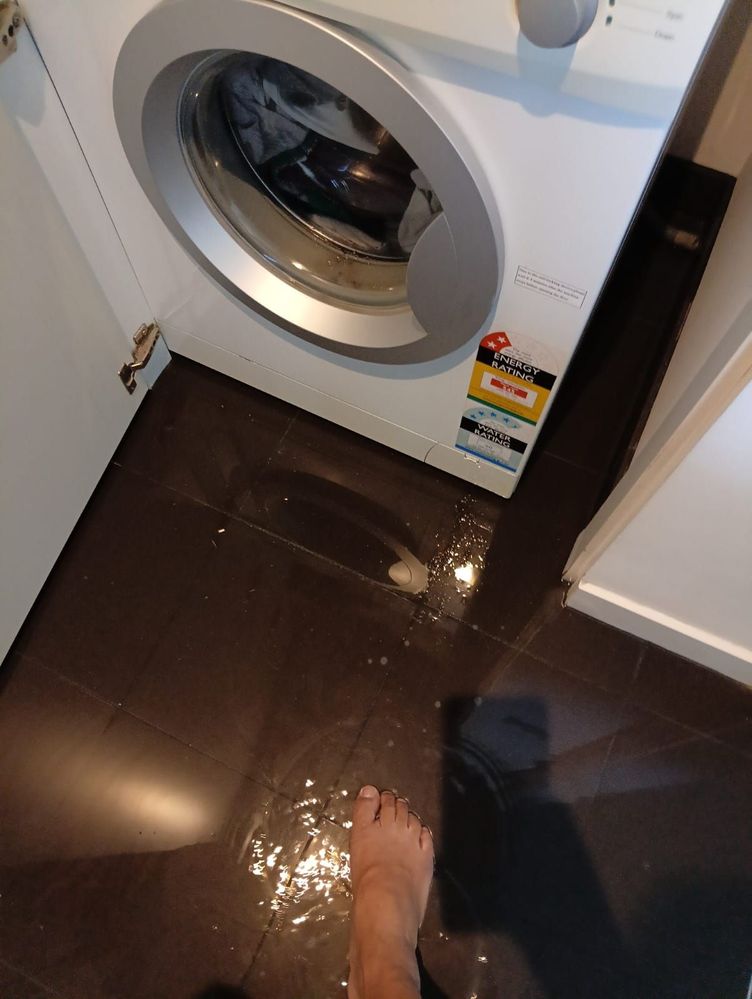 wash-3.jpg wash-3.jpg