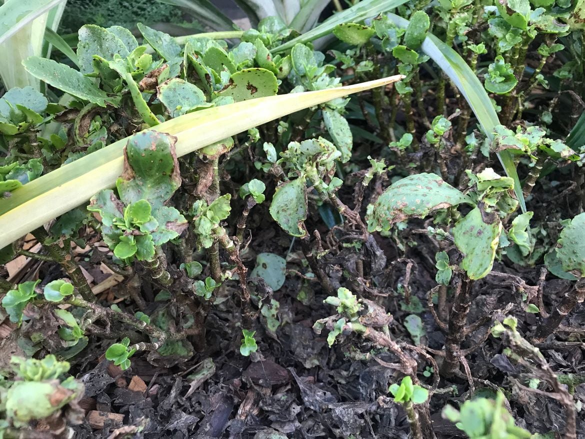 20250415103356.jpg 20250415103356.jpg