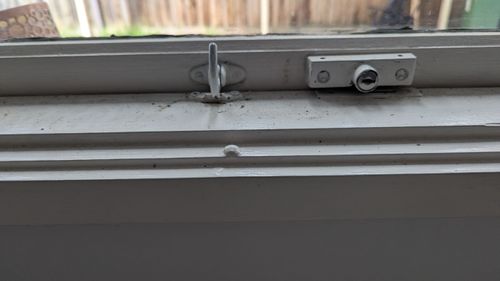 1000083948.jpg 1000083948.jpg