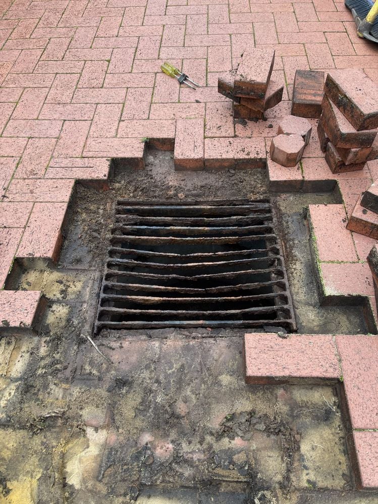 IMG_8861.jpeg IMG_8861.jpeg