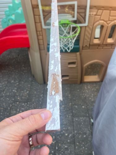 IMG_9227.jpeg IMG_9227.jpeg