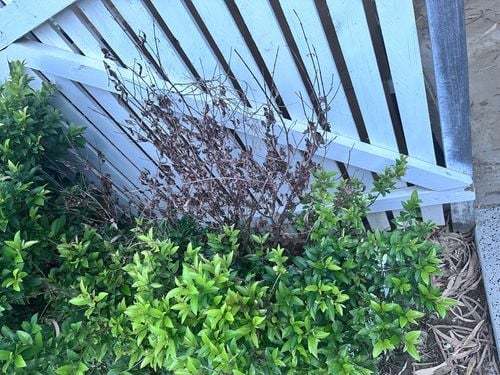 IMG_0491.jpeg IMG_0491.jpeg