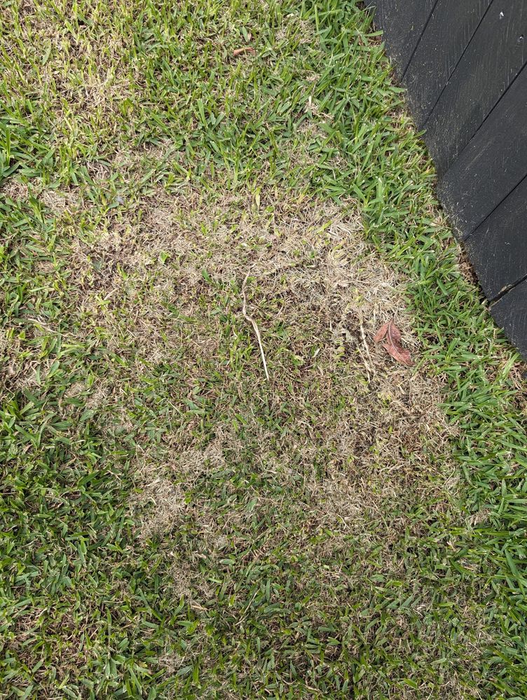 WhatsApp Image 2024-04-01 at 9.22.28 AM (1).jpeg WhatsApp Image 2024-04-01 at 9.22.28 AM (1).jpeg