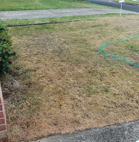 1000016031.jpg 1000016031.jpg