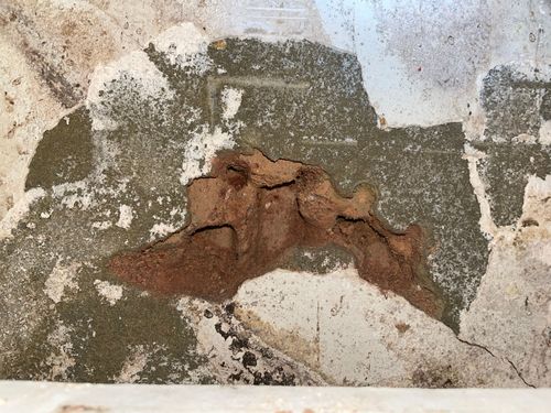 IMG_4104.jpeg IMG_4104.jpeg