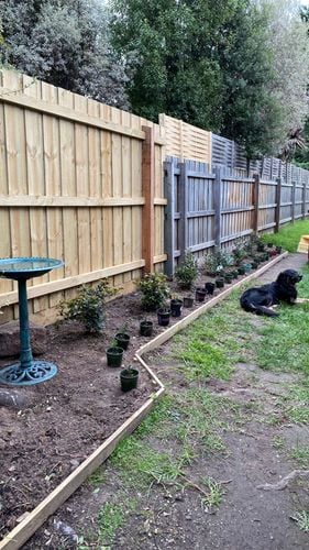 IMG_9151.jpg IMG_9151.jpg