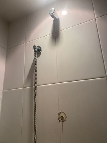 IMG_8221.jpeg IMG_8221.jpeg