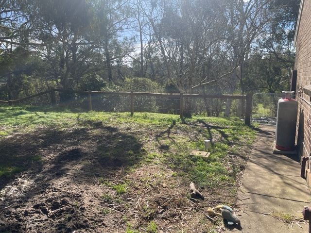 IMG_2951.jpg IMG_2951.jpg