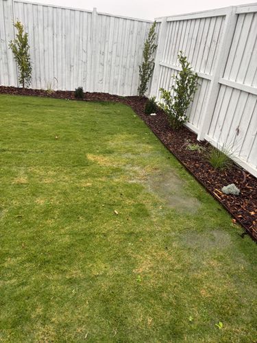 IMG_9402.jpeg IMG_9402.jpeg