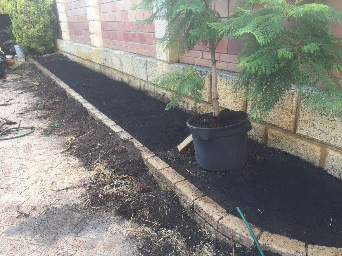 C470415D-B521-4BEF-9B84-D42D3421AF56.jpeg C470415D-B521-4BEF-9B84-D42D3421AF56.jpeg