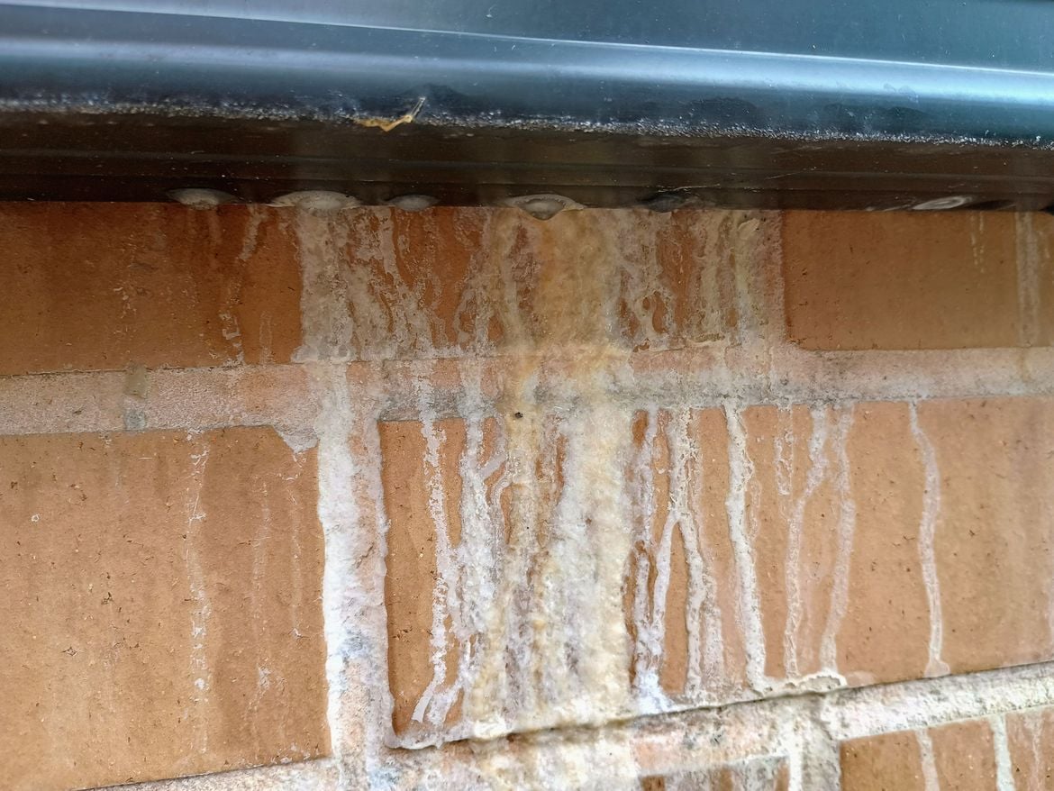 IMG_20250111_105226017_HDR_AE.jpg IMG_20250111_105226017_HDR_AE.jpg