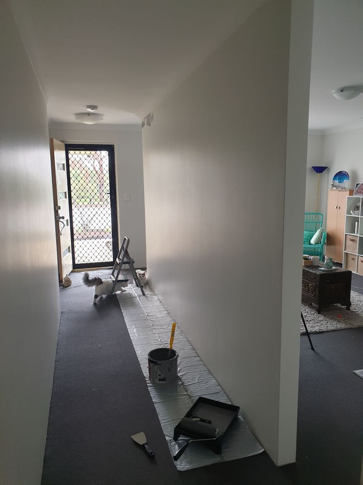 20200215_150127.jpg 20200215_150127.jpg