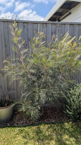 1000013785.jpg 1000013785.jpg