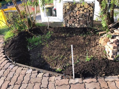 109 01-10-2022.jpg 109 01-10-2022.jpg