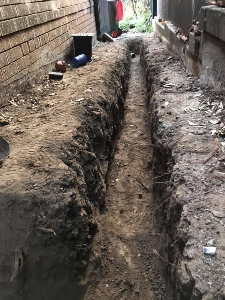 25 01-05-2021.jpg 25 01-05-2021.jpg