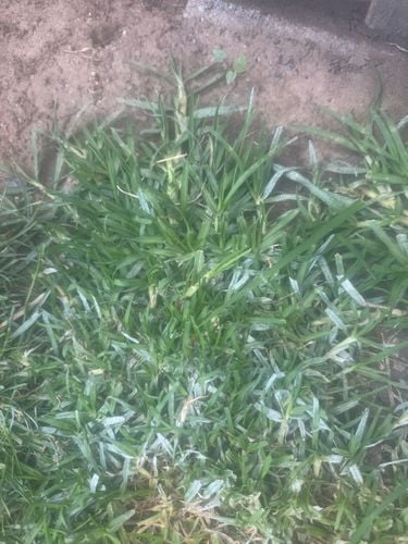 IMG_8188.jpeg IMG_8188.jpeg