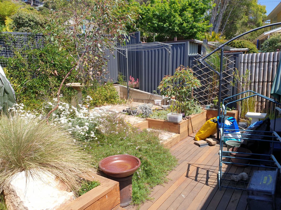 20231022_113743 - Copy.jpg 20231022_113743 - Copy.jpg