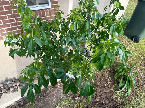 IMG_2777.jpeg IMG_2777.jpeg