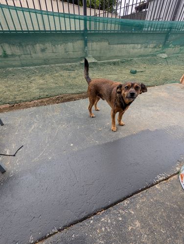 1000028832.jpg 1000028832.jpg