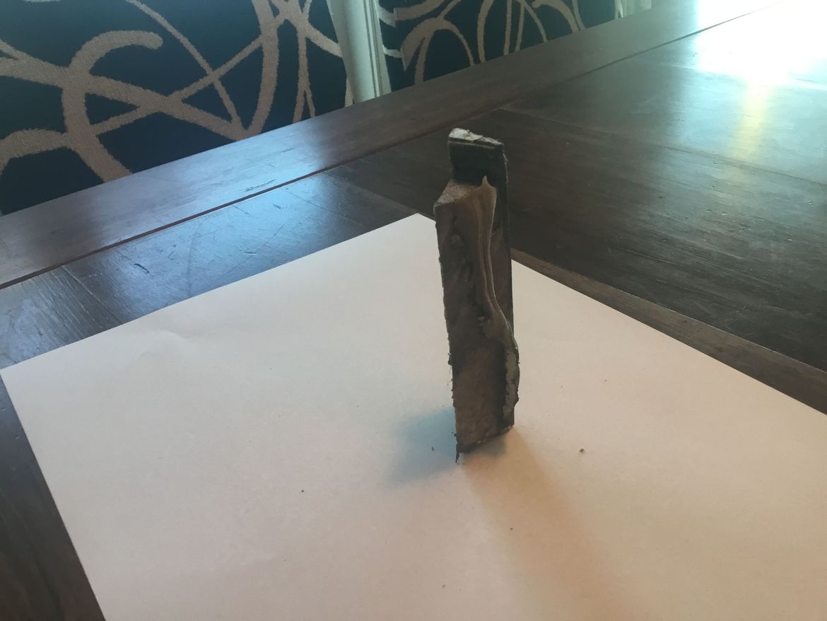 IMG_2275.jpeg IMG_2275.jpeg