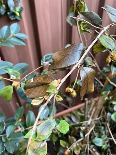 IMG_1654.jpeg IMG_1654.jpeg