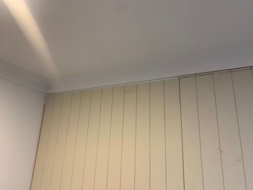 IMG_8543.jpeg IMG_8543.jpeg