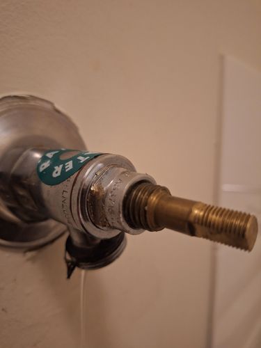 1000008662.jpg 1000008662.jpg