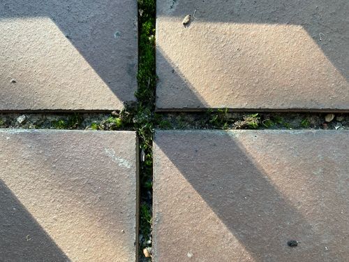 IMG_0033.jpeg IMG_0033.jpeg