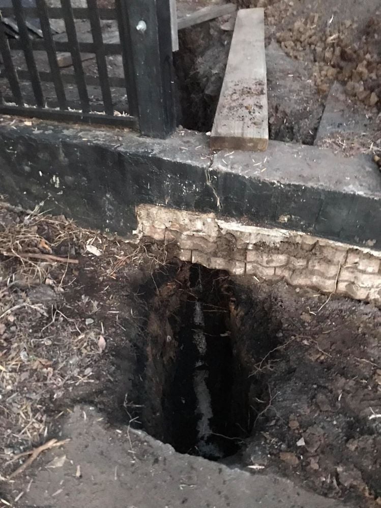 16 03-09-2021.jpg 16 03-09-2021.jpg