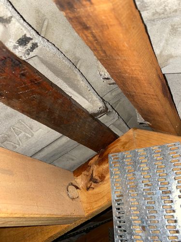 IMG_3283.jpeg IMG_3283.jpeg